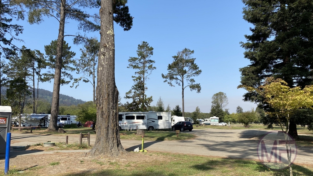 Taking a stroll through the Olema Campgrounds