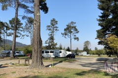 Taking a stroll through the Olema Campgrounds