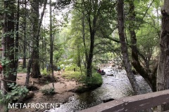 Tuolomne River