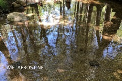 Reflection